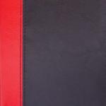 Набор GALANT Президент-2 (ежедневник А5, планинг, тел.кн А5, визитн 72) комб.обл, красн/черн, 124034