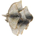 Императорский полосатик солено сушеный