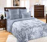 Дзен 4 компаньон