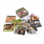 *Новинка! Ми-Ми-Мемо ДИКИЕ ЖИВОТНЫЕ 1/36