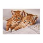 KH0318 Набор юного художника (20х30) РЫЖИЕ КОТЯТА (15 цветов) 1/44