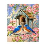 KH0325 Набор юного художника (20х30) ПТИЦЫ У СКВОРЕЧНИКА (17цветов) 1/44