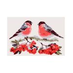 KH0264 Набор юного художника (20х30) СНЕГИРИ  (11 цветов) 1/44