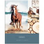 Дневник 5-11 кл. 48л. (твердый) "Freedom", глянцеваz ламинац, Дс48т_23334