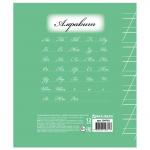 Тетрадь 12л. BRAUBERG ЭКО "5-КА", косая линия, обложка плотная мелованная бумага, ЗЕЛЕНАЯ, 104762