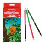 Набор двухстор. цветных карандашей «Цветик»12/24цв