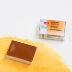 Индийская золотистая акварель кювета