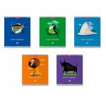 тетрадь общая  Textile Animals, 48 листов, клетка, выборочный УФ-лак, 60 гр. аналог 45120