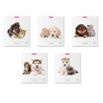 тетрадь общая  Дружба, 48 листов, клетка, 60 гр. аналог 42649