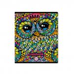 Я тетрадь общая  Owls, 48 листов, клетка