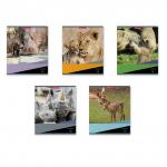 тетрадь общая  Идиллия, 48 листов, линейка, 60 гр. аналог 40080