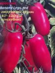 Томат Банана легс красный. Семена