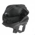 Рюкзак Rise-м-201,  молодежный,  уплотн.спинка,  2отд,  черный 221919