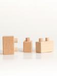 Конструктор WOOD BLOCKS 55 дет. [АРТИКУЛ: 10401]