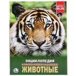 "УМКА". ЖИВОТНЫЕ (ЭНЦИКЛОПЕДИЯ А4 С РАЗВИВАЮЩИМИ ЗАДАНИЯМИ). ТВЕРДЫЙ ПЕРЕПЛЕТ в кор.15шт