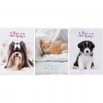 Тетрадь 96л., А4, клетка ArtSpace "Питомцы. Where your friend"Т96А4кГЛ_12126