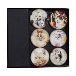 GM-109111 Набор магнитов "Котик" 6шт/48уп