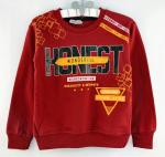 1300315 Толстовка для мальчика рост (98-104-110-116-128) Турция