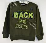 1300308 Толстовка для мальчика рост (98-104-110-116-128) Турция