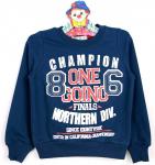 1100201 Толстовка для мальчика рост (92-98-104-110) Узбекистан