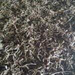 Иван-Чай Байкальский ФЕРМЕНТИРОВАННЫЙ 70г.