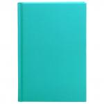 Ежедневник BASIC, недатиров.,ф.А5, обложка пвх, лин.,ляссе,336с., голубой