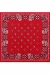 Paisley Square pattern 55х55 см