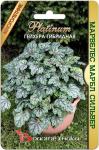 Гейхера гибридная Марвелес Марбл Сильвер. Семена.