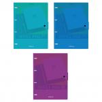 ятетрадь общая с пластиковой обложкой на кольцах  Glance Vivid, ассорти, А4, 80 листов, клетка, на кнопке