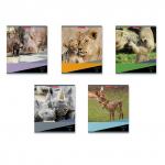 Тетрадь общая  Идиллия, 48 листов, клетка, 60 гр. аналог 40059