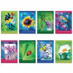 Блокнот МАЛЫЙ ФОРМАТ (124х144мм) А6, 48л, скоба, картон, клетка, HATBER, Живые моменты, 48Б6B1