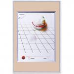 Рамка бизнес-класса 40*60см, пластик, багет 9 мм, серебро, 9117