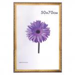 Рамка премиум 50*70см, пластик, багет 33 мм, Dorothy, золото, 0023-50-4274