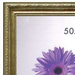 Рамка премиум 50*70см, пластик, багет 33 мм, Dorothy, золото, 0023-50-4274