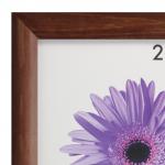 Рамка премиум 50*70см, дерево, багет 26 мм, Berta, орех, 0006-50-0006