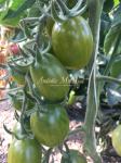 Томат Кивислива 5шт. Семена
