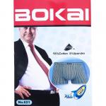Мужские трусы BOKAI 621 в упаковке 2 шт