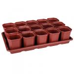 Акция5% Набор для рассады пластмассовый 41х24х9см, 15 горшочков по 0,3л, на поддоне (Россия)