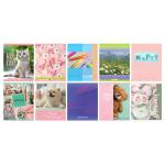 Тетрадь 48 л., А5, клетка, "Mix-10.Девочки", мелов., 10 дизайнов,  6852