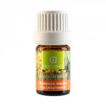 Масло эфирное бессмертника