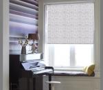 Рулонная штора "Зимний Сад"                             (es-86)