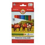 Набор карандашей цветных JUMBO трехгранных, 12 цв., в картонной упаковке с европодвесом