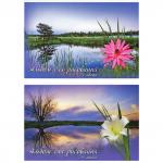 Альбом для рисования ACTION! ПРИРОДА , 24 л., вд-лак, 2 дизайна