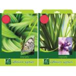 Набор цветного мелов. картона ACTION! ЗЕЛЕНЫЙ МИР,дв. клапан, с европод.,ф. А4,8л.,2 дизайна