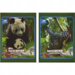 Набор цветного мелов. картона ACTION! ANIMAL PLANET, ф. А4,10 л.,10 цв.(8цв.+зол. и сер.), 2 дизайна