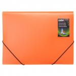 Папка на резинках COLOURPLAY, ф.A4, прозрачная ассорти 0,5 мм