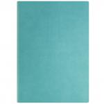 Ежедневник Spectrum недатиров,ф. а5, кожзам, лин, ляссе, 256с, бирюзовый