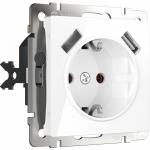 Механизм белый - Розетка с заземлением, шторками и USBх2 (белая)