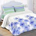 КПБ 2.0 био комфорт "Любимый дом" (70х70) рис. 15305-1/15215-3 Васильки