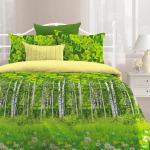 КПБ 2.0 био комфорт "Любимый дом" (70х70) рис. 6344-1/11916-85 Родные просторы